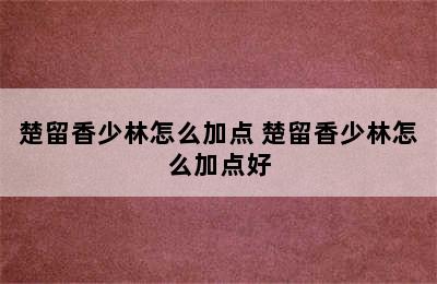 楚留香少林怎么加点 楚留香少林怎么加点好